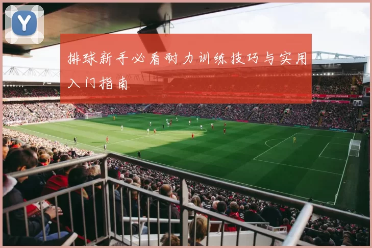 排球新手必看耐力训练技巧与实用入门指南