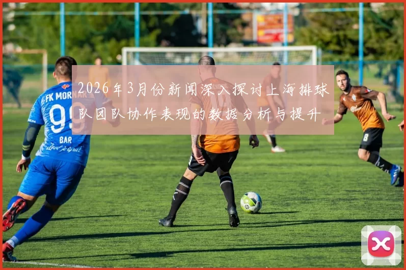 2026年3月份新闻深入探讨上海排球队团队协作表现的数据分析与提升策略