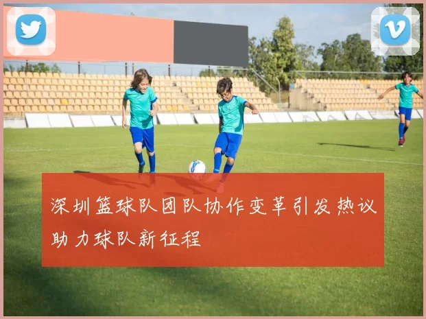 深圳篮球队团队协作变革引发热议助力球队新征程